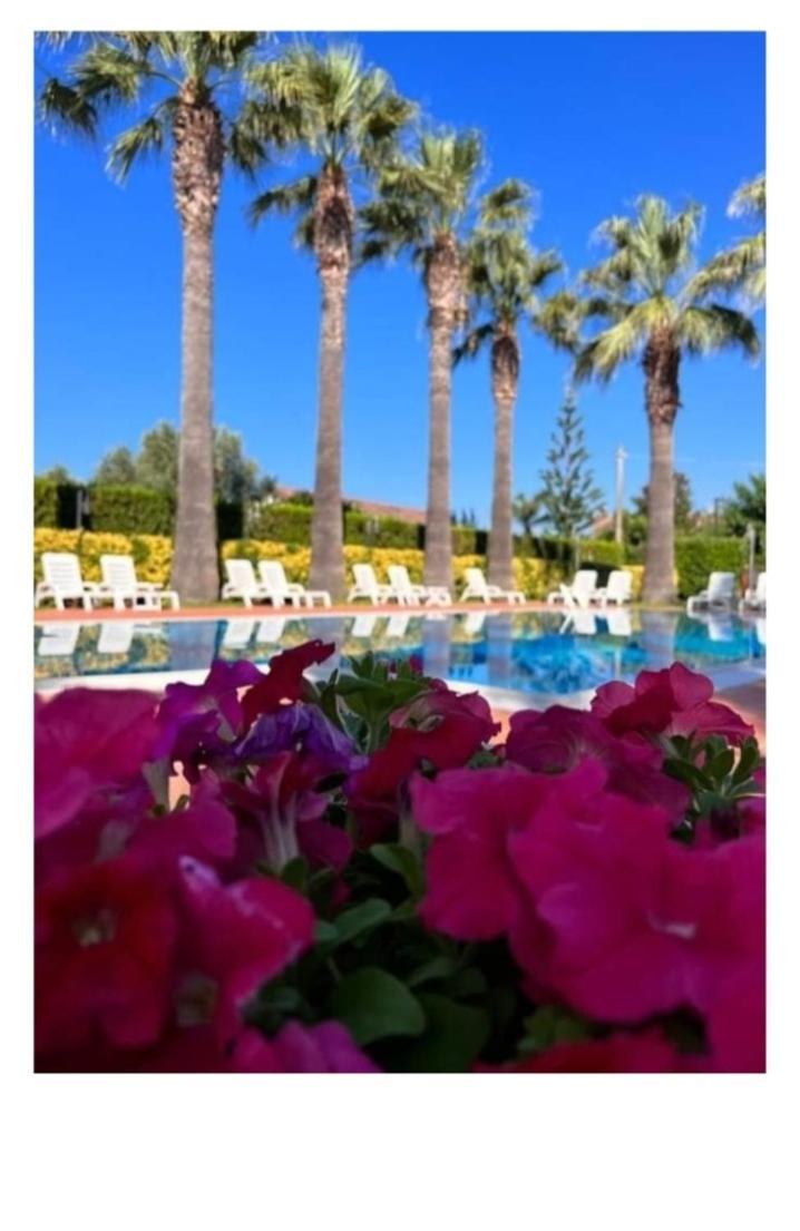 Villa Laura Residence Hotel Apartments & Studios Ашеа Екстер'єр фото